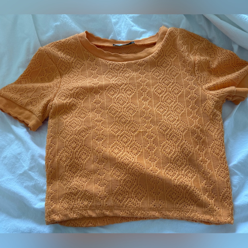 Zara Orange Textured crop Top